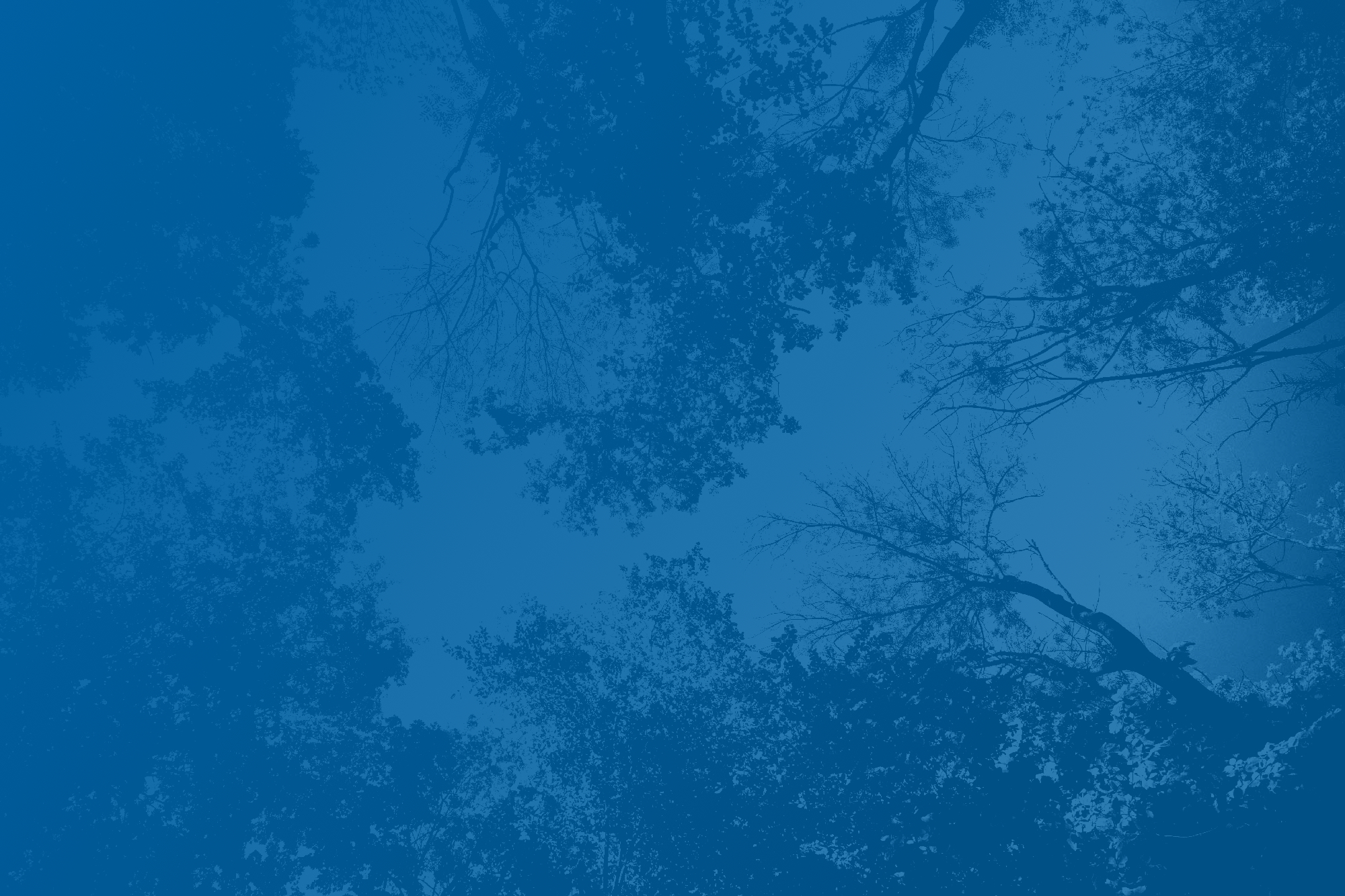 Small Data for a Big Benefit